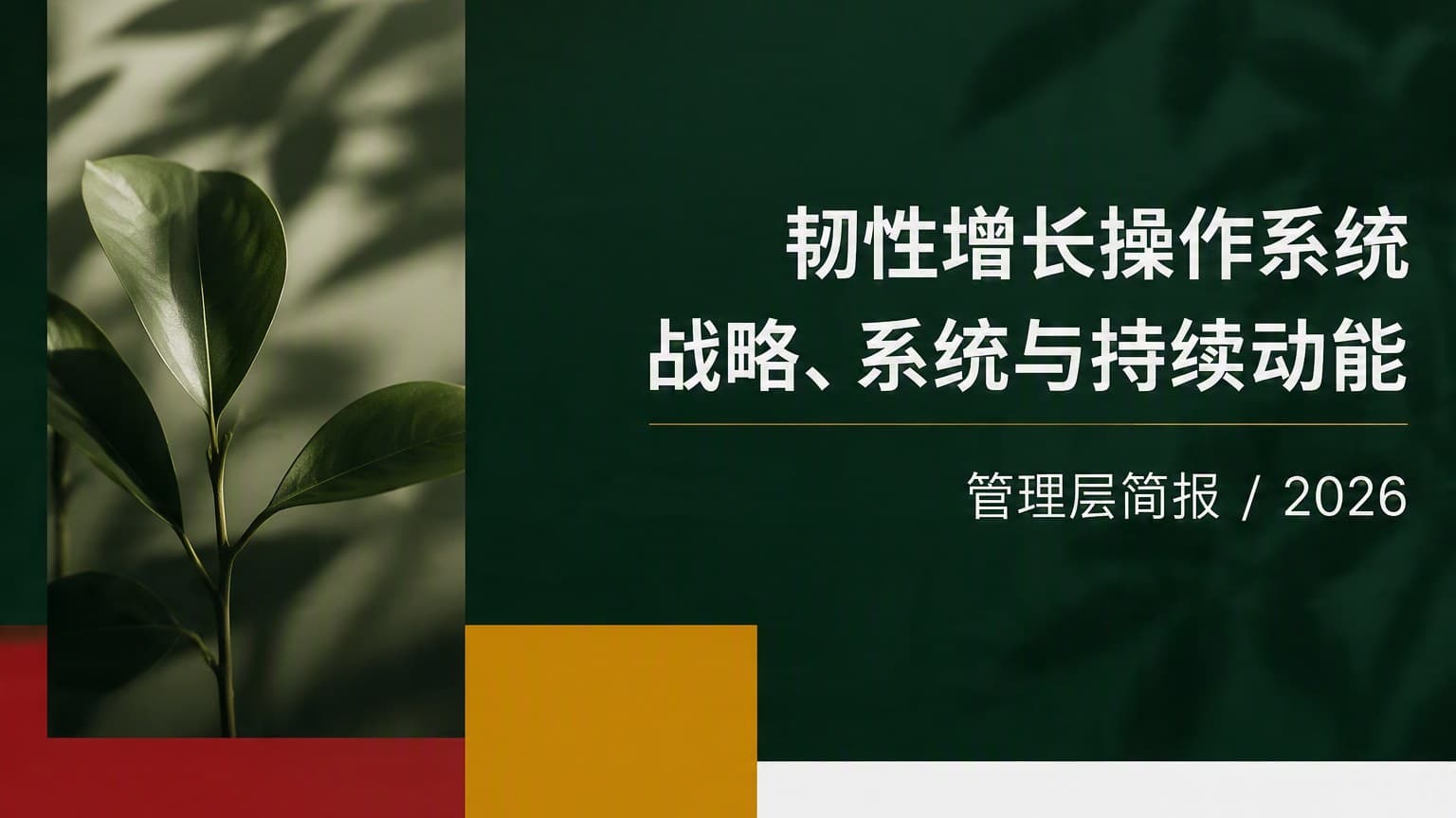 柔彩 · 植物光影 × 非对称 × 砖石网格 模板封面